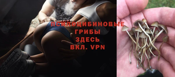 прущая мука Белокуриха